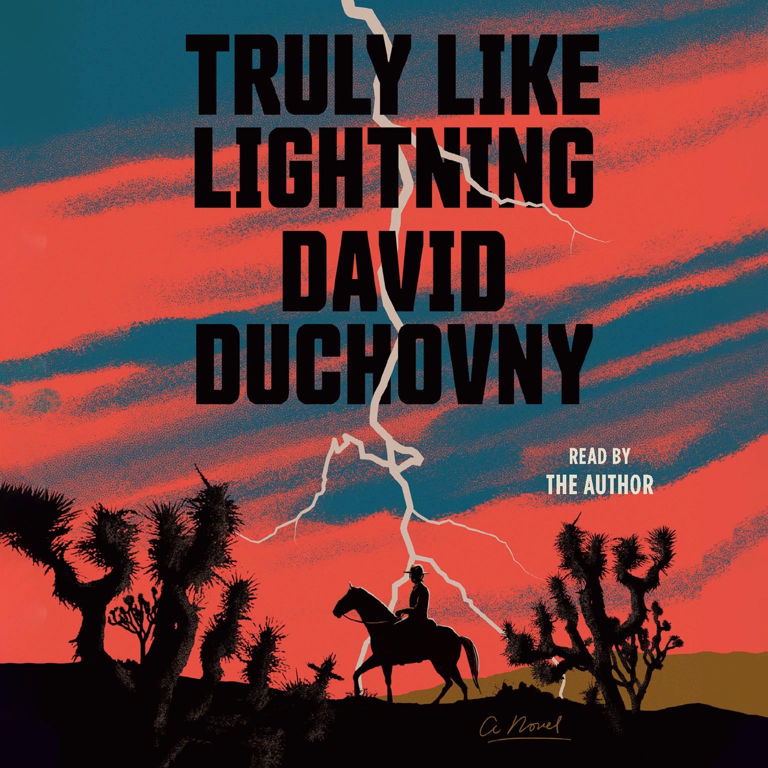 Truly Like Lightning: A Novel Audiobook, by David Duchovny