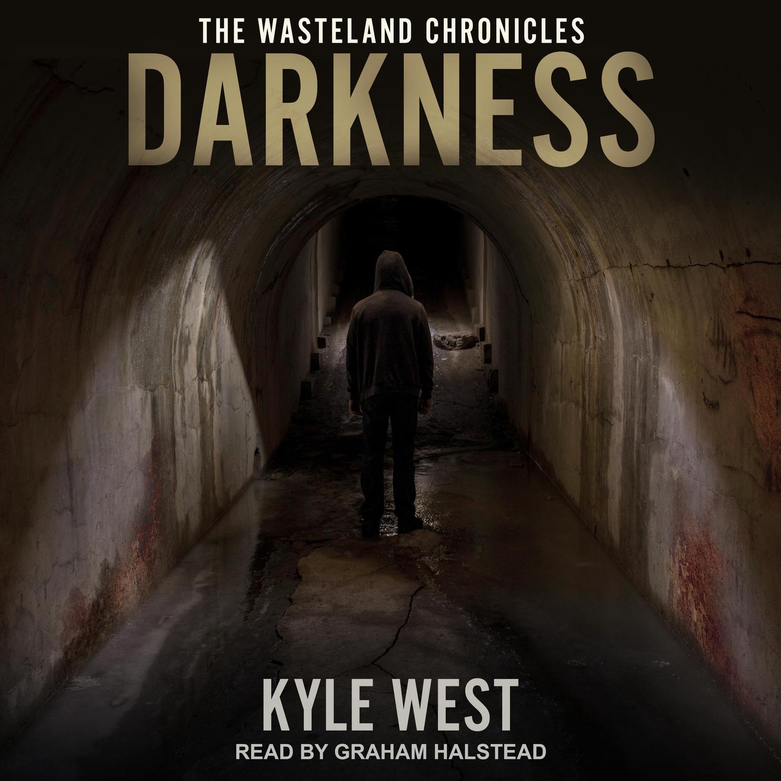 Darkness Audiobook, by Kyle West