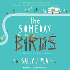 The Someday Birds Audiobook, by Sally J. Pla