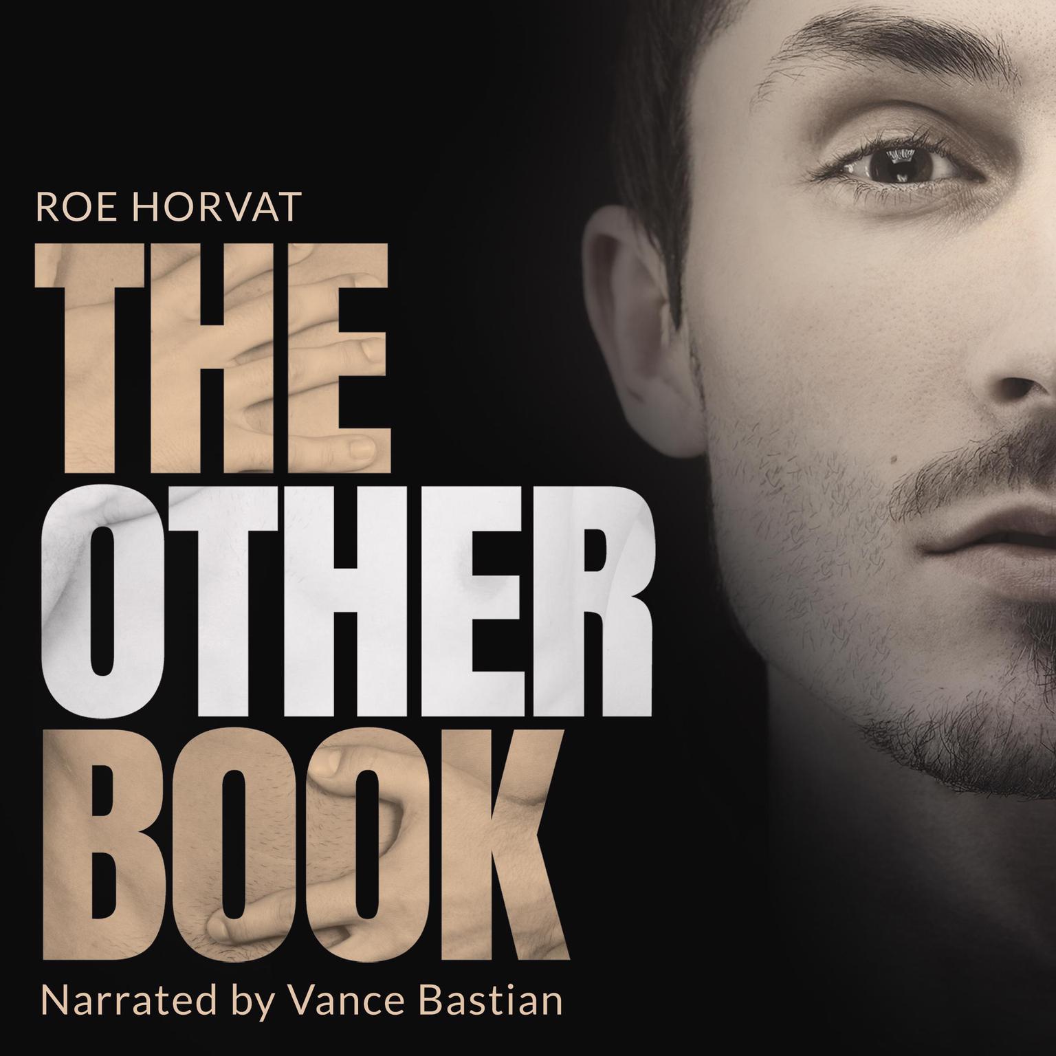 The Other Book Audiobook, by Roe Horvat