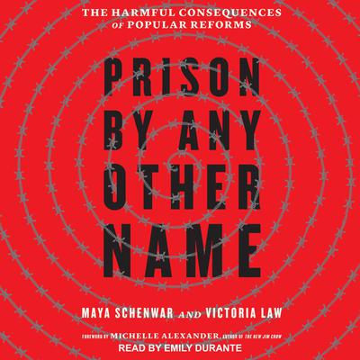 Prison by Any Other Name: The Harmful Consequences of Popular Reforms Audiobook, by Maya Schenwar