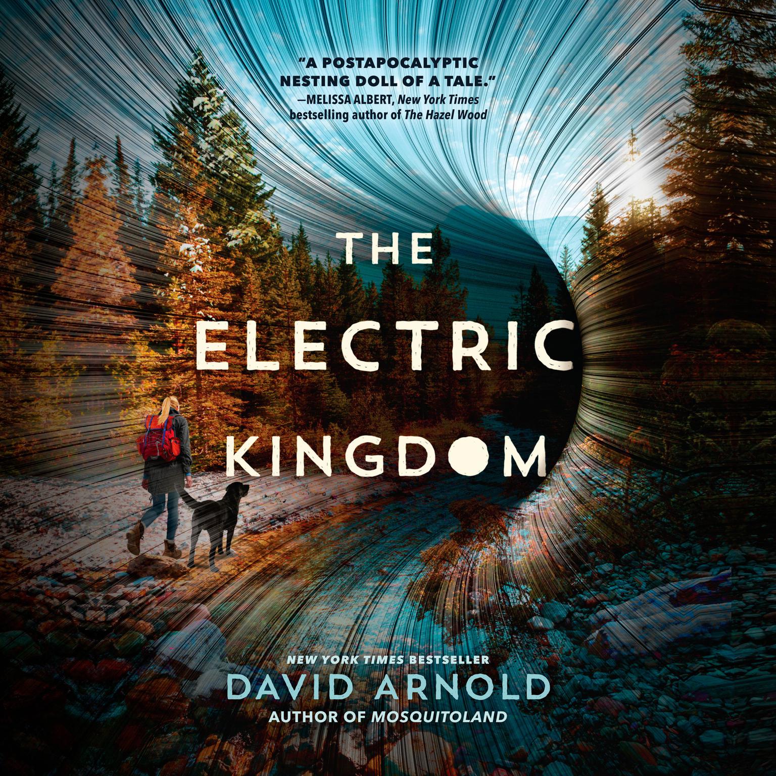The Electric Kingdom Audiobook, by David Arnold