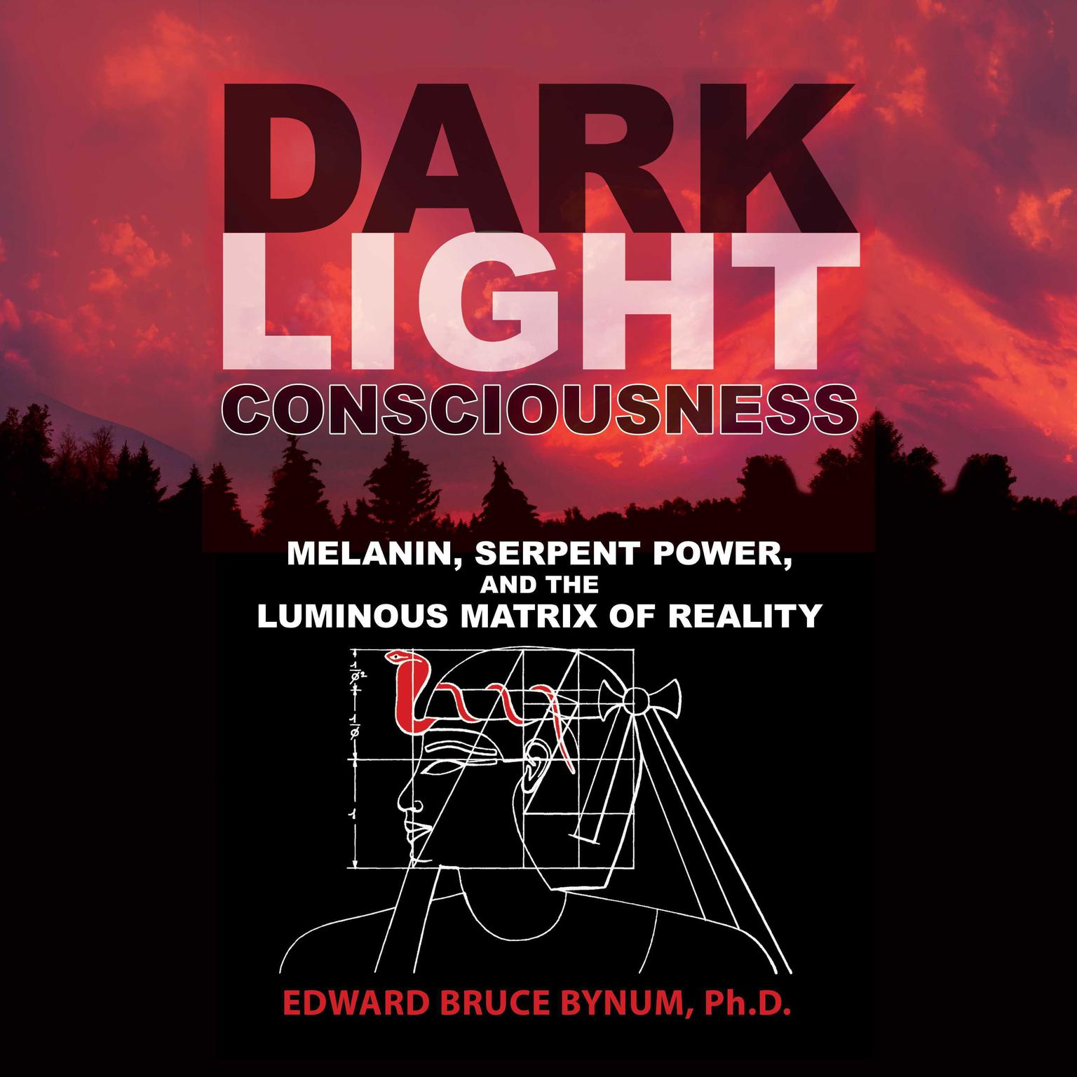 Dark Light Consciousness: Melanin, Serpent Power, and the Luminous Matrix of Reality Audiobook, by Edward Bruce Bynum