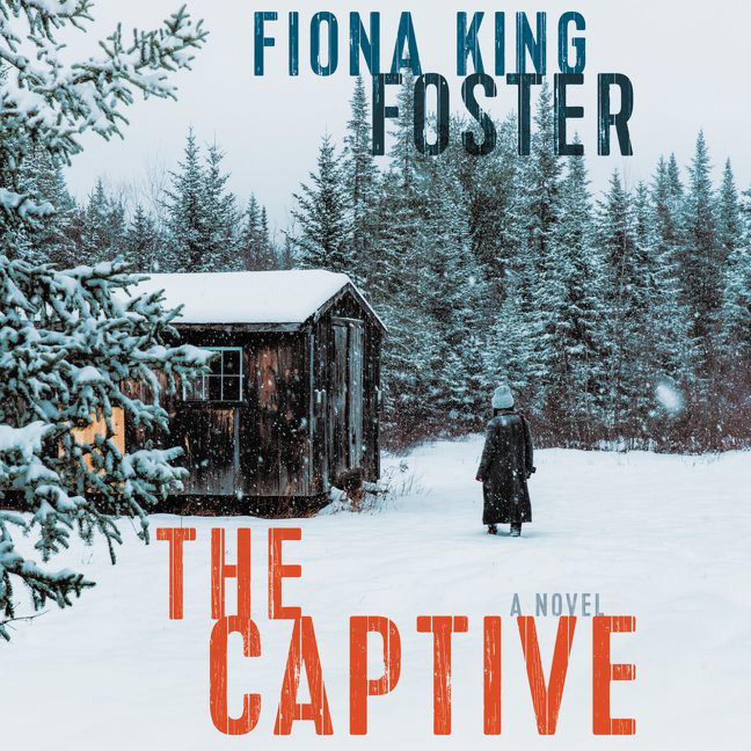 The Captive: A Novel Audiobook, by Fiona King Foster