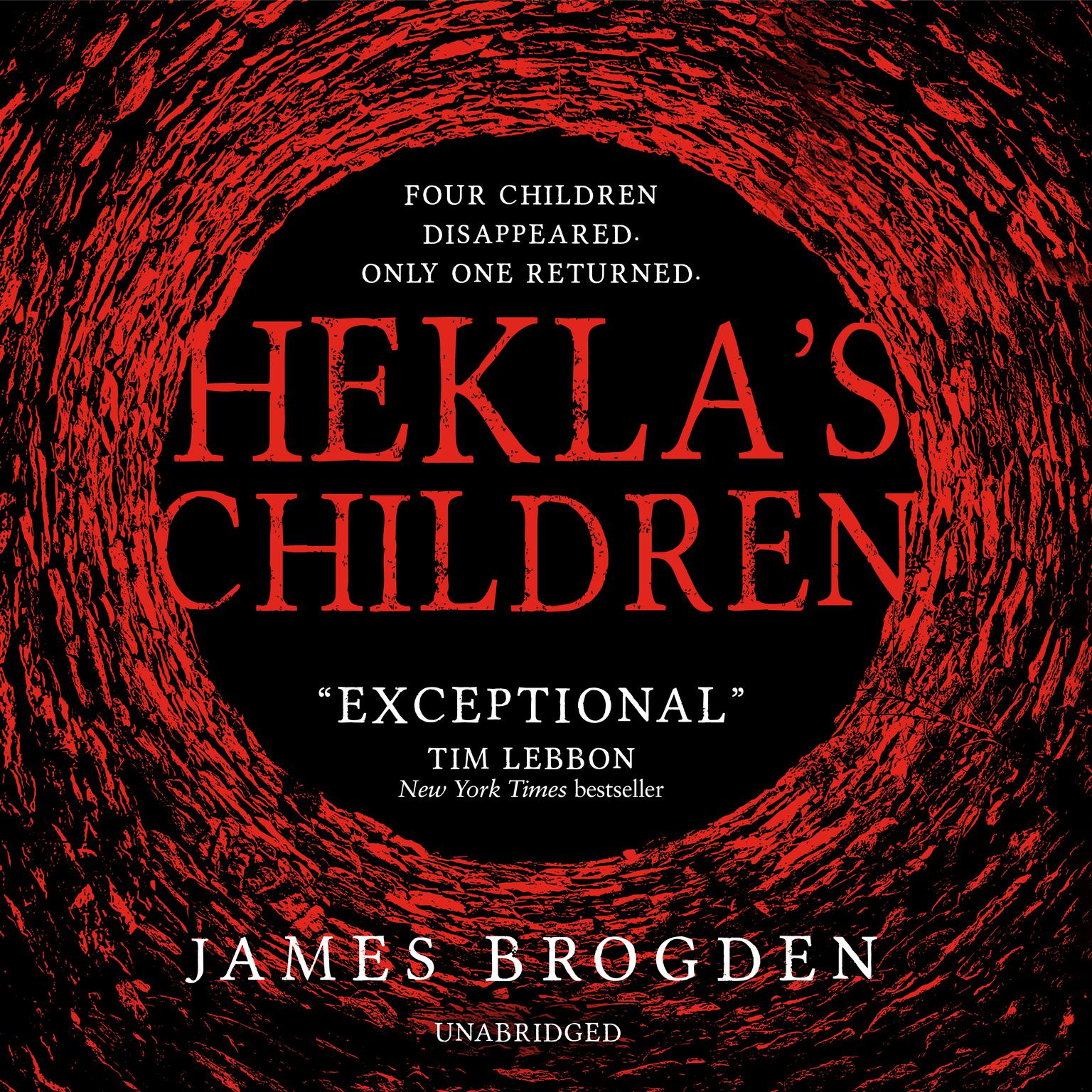 Hekla’s Children Audiobook, by James Brogden