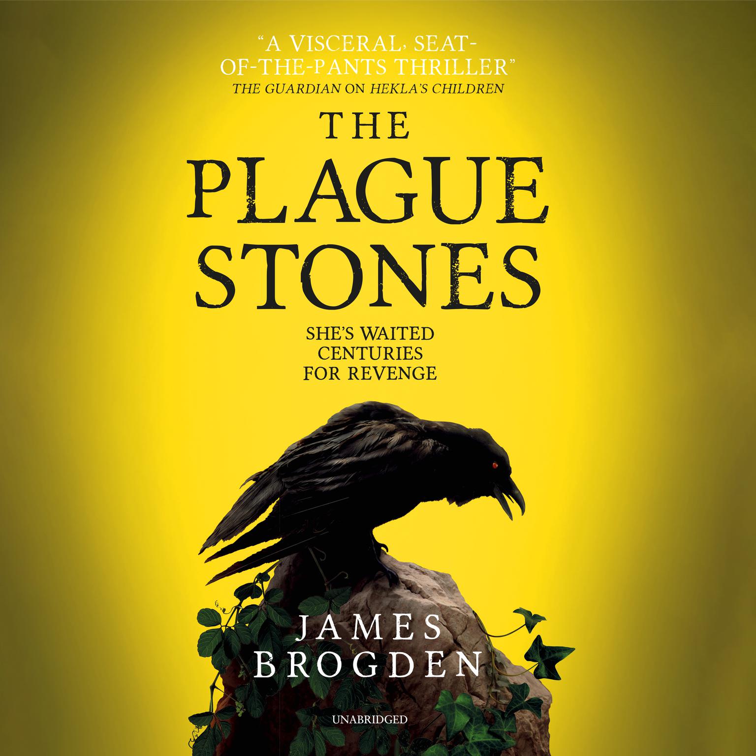 The Plague Stones Audiobook, by James Brogden