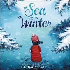The Sea in Winter Audiobook, by Christine Day