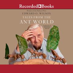 Tales from the Ant World Audiobook, by Edward O. Wilson