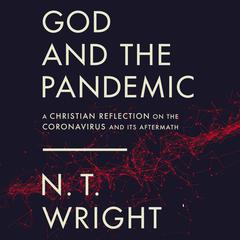 God and the Pandemic: A Christian Reflection on the Coronavirus and Its Aftermath Audiobook, by N. T. Wright