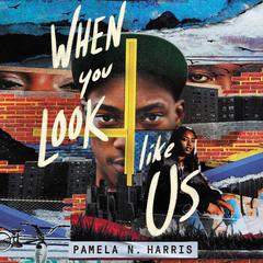 When You Look Like Us Audiobook, by Pamela N. Harris