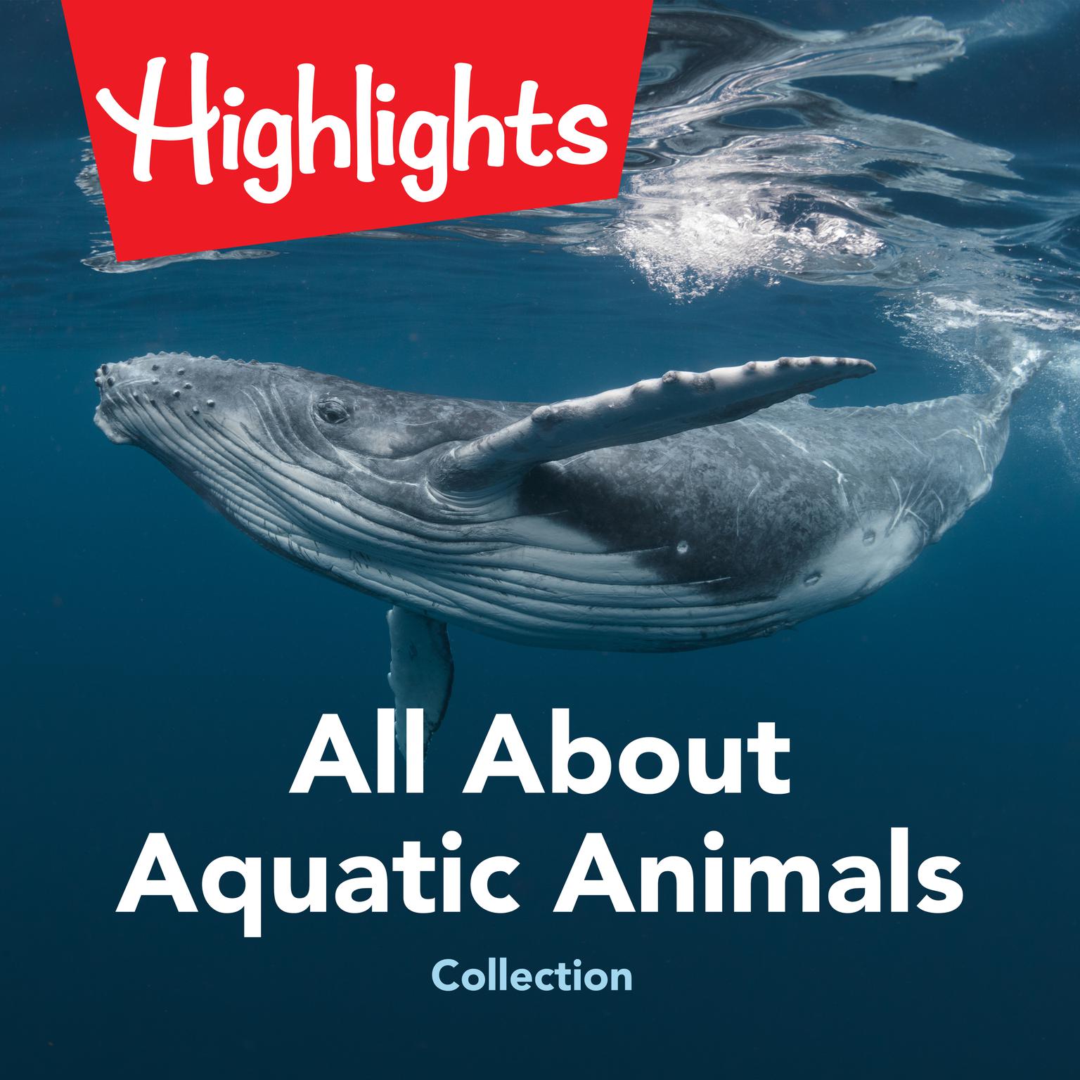All About Aquatic Animals Collection Audiobook, by Valerie Houston