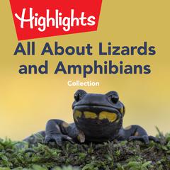 All About Lizards and Amphibians Collection Audiobook, by Highlights for Children