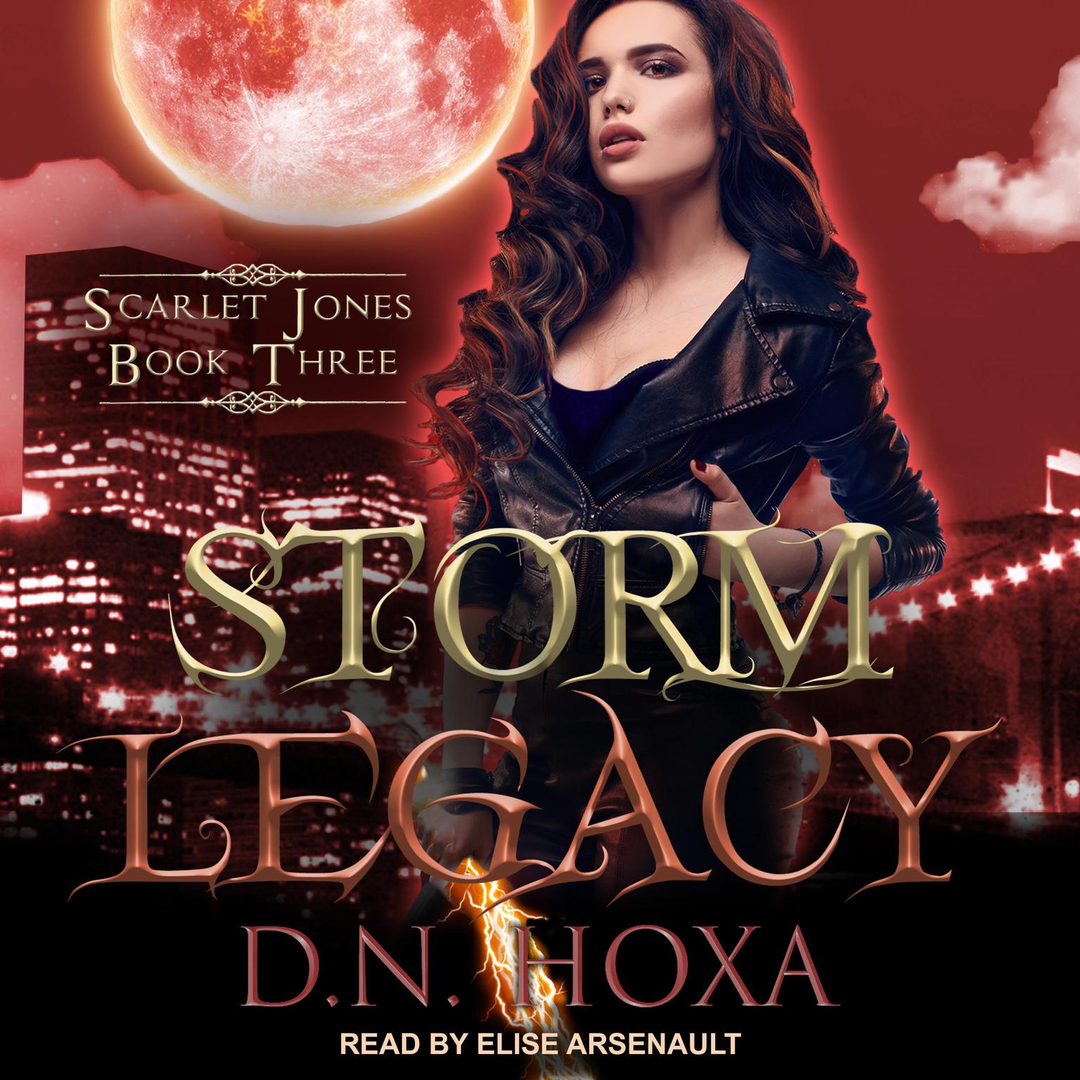 Storm Legacy Audiobook, by D.N. Hoxa