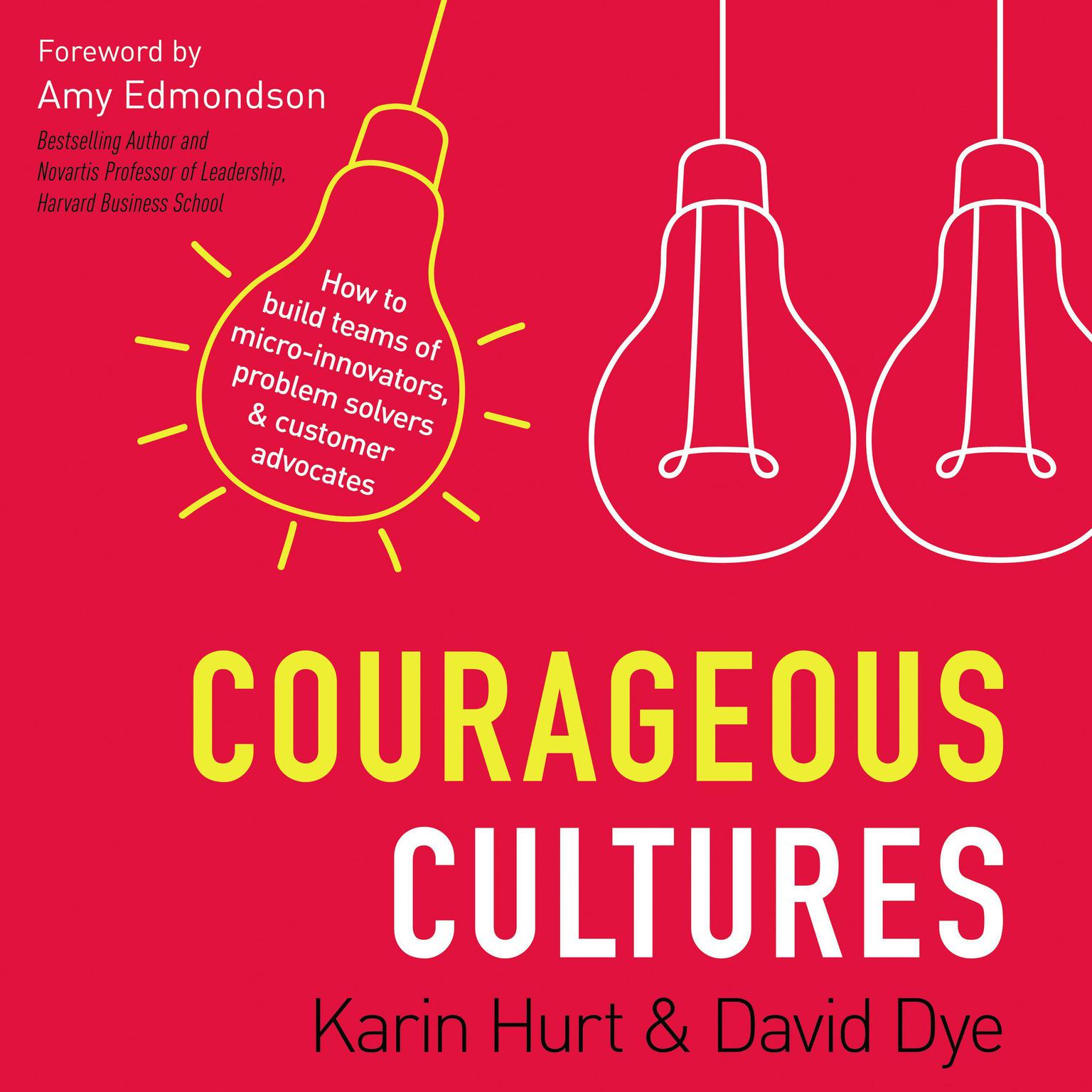 Courageous Cultures: How to Build Teams of Micro-Innovators, Problem Solvers, and Customer Advocates Audiobook, by David Dye