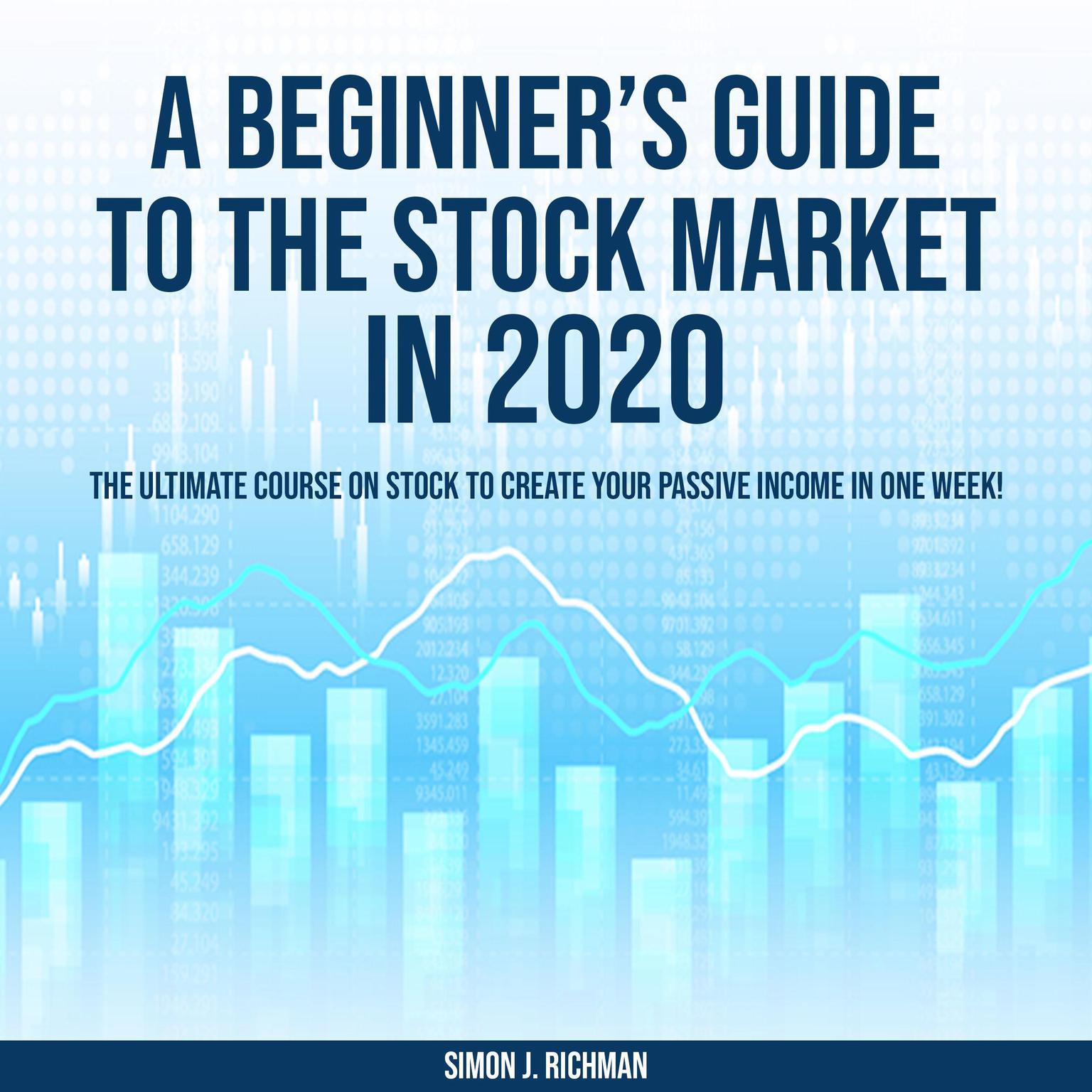 A Beginners Guide to the Stock Market in 2020 Audiobook, by Simon J. Richman