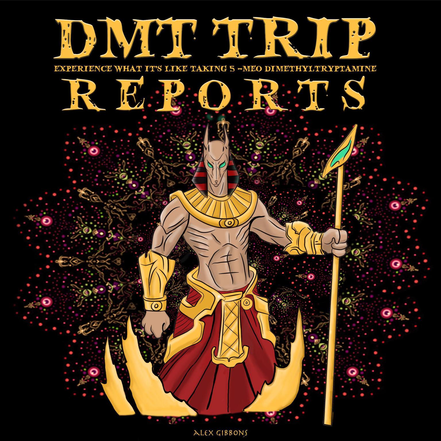 DMT Trip Reports: Experience What It’s Like Taking 5-MEO Dimethyltrptamine Audiobook, by Alex Gibbons