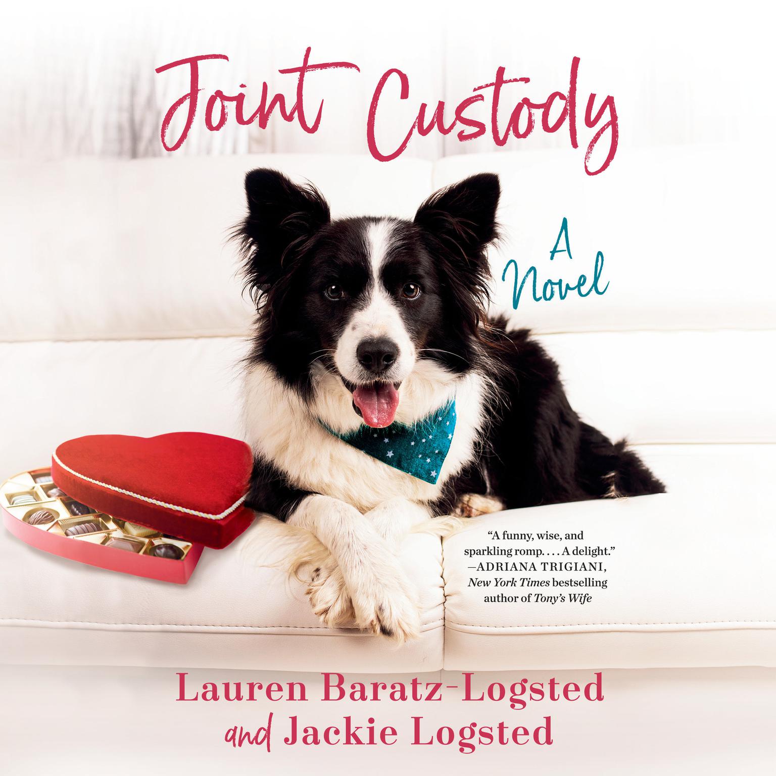 Joint Custody Audiobook, by Lauren Baratz-Logsted