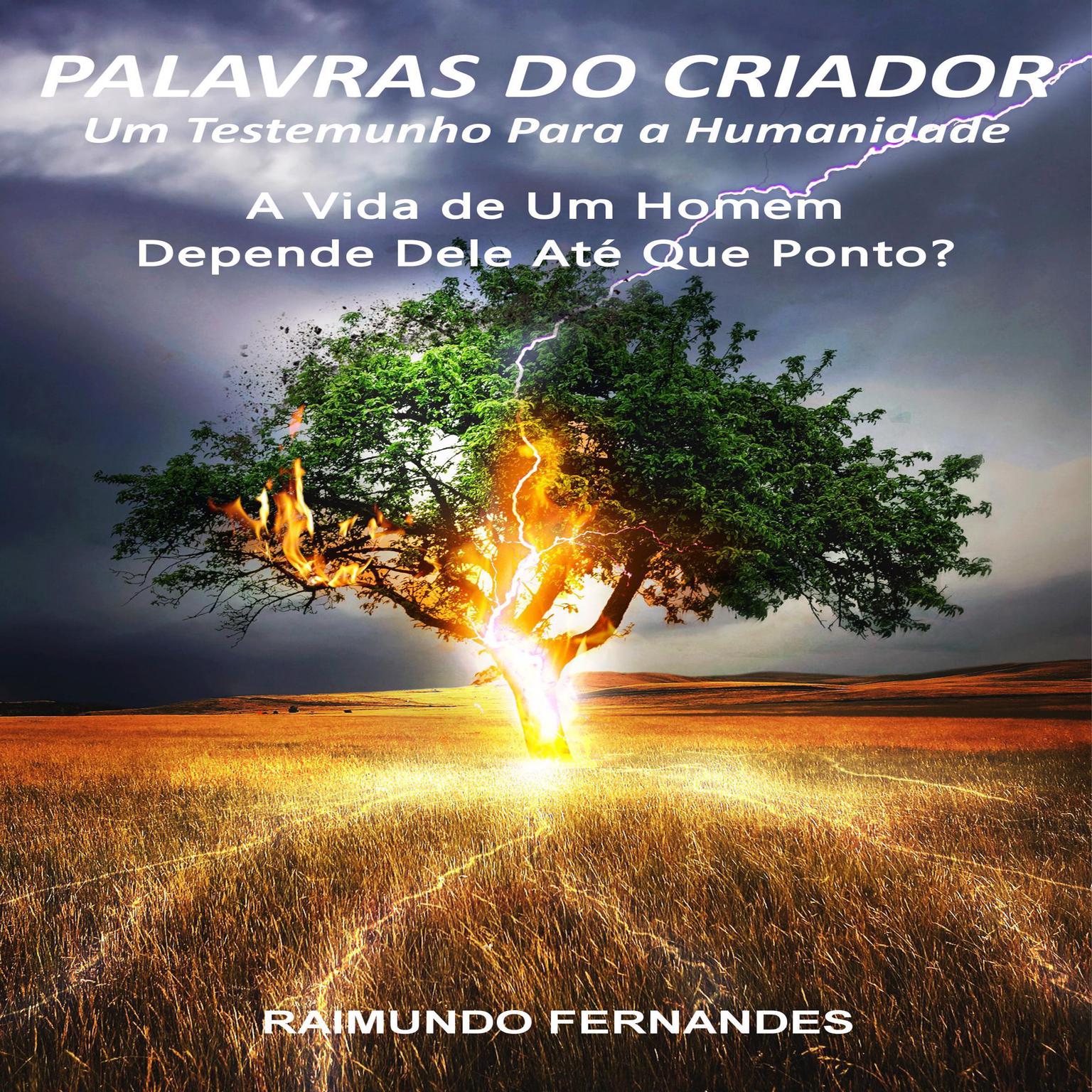 Palavras do Criador: A Vida de um Homem Depende Dele Até Que Ponto? Audiobook, by Raimundo Fernandes