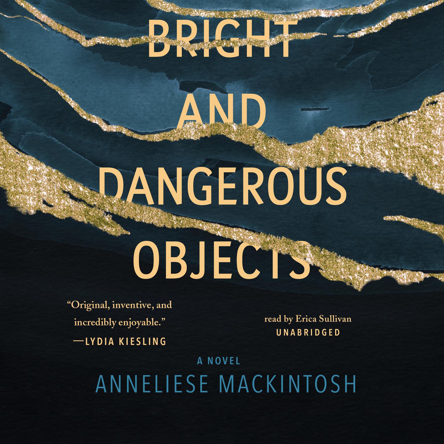 Bright and Dangerous Objects Audiobook, by Anneliese Mackintosh