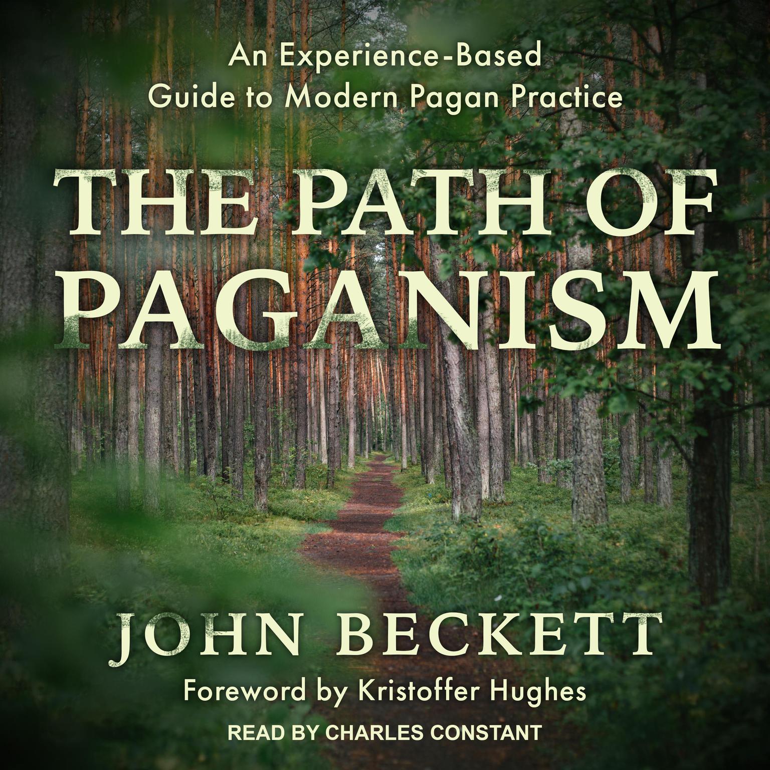 The Path of Paganism: An Experience-Based Guide to Modern Pagan Practice Audiobook, by John Beckett