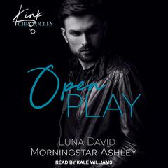 Open Play Audiobook, by Luna David