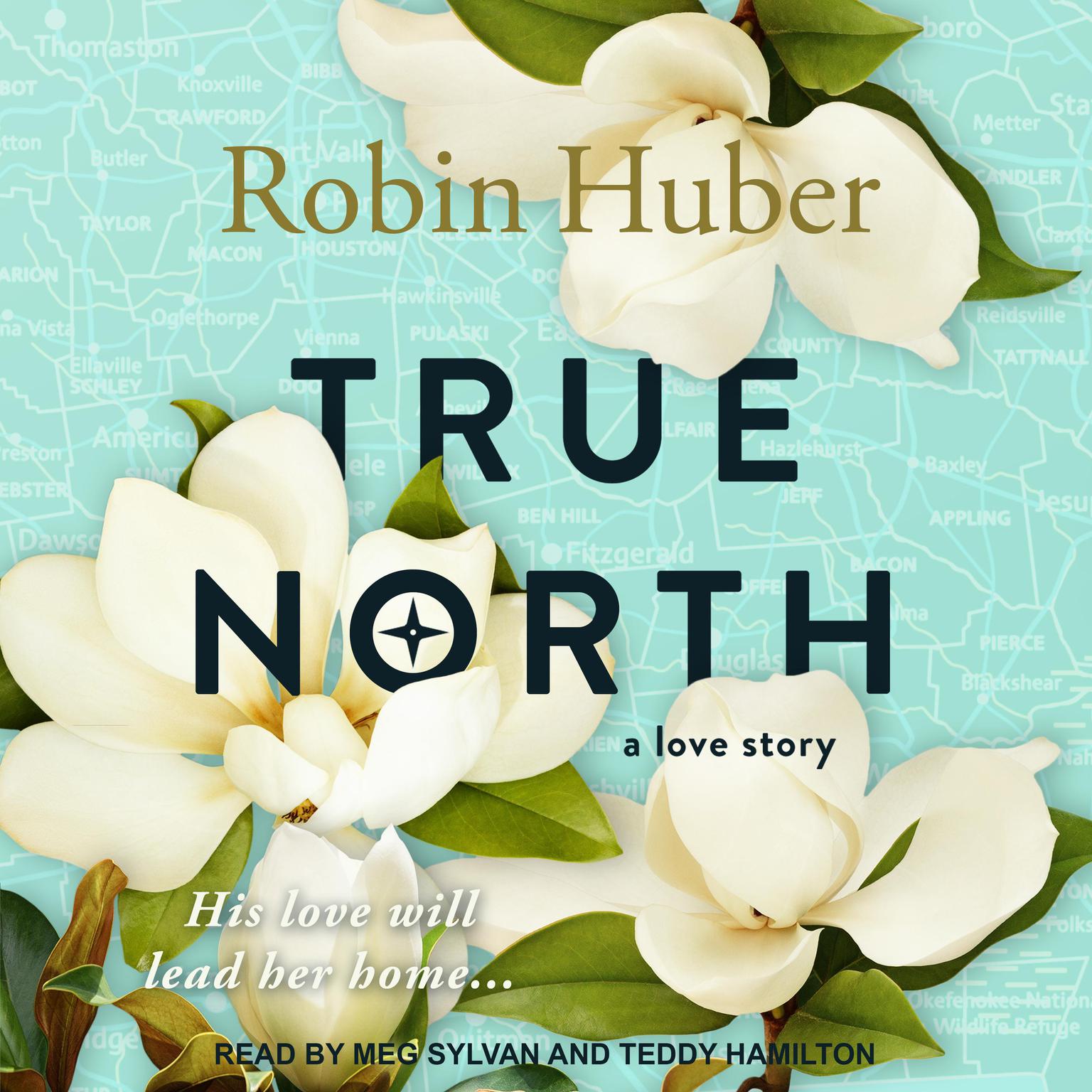True North Audiobook, by Robin Huber