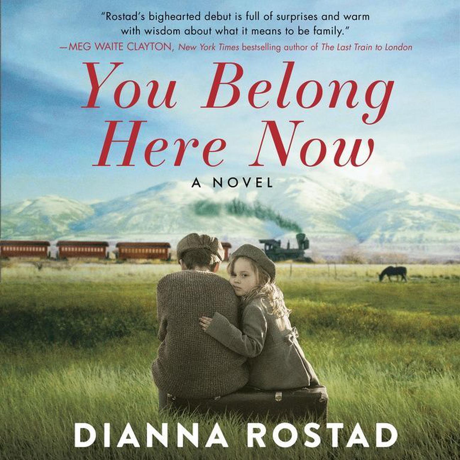 You Belong Here Now: A Novel Audiobook, by Dianna Rostad