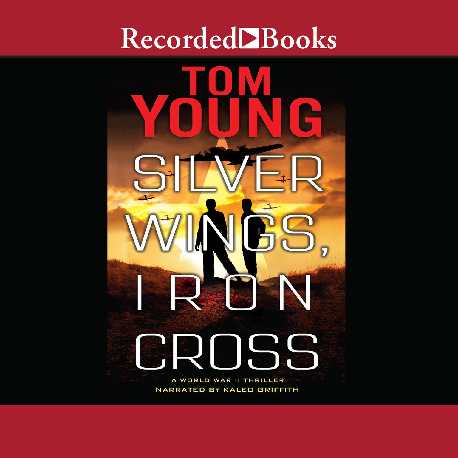 Silver Wings, Iron Cross Audiobook, by Tom Young