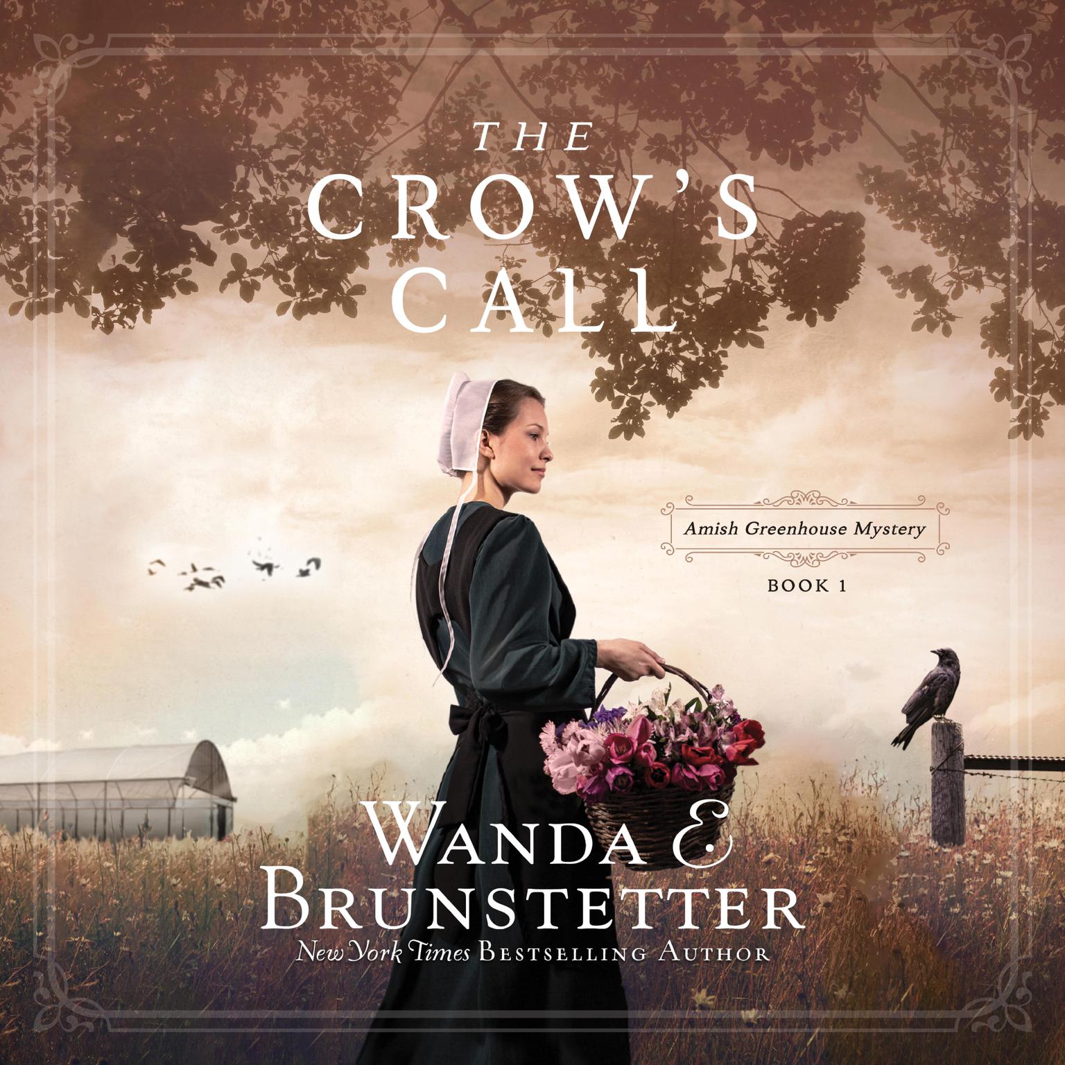 The Crows Call Audiobook, by Wanda E. Brunstetter