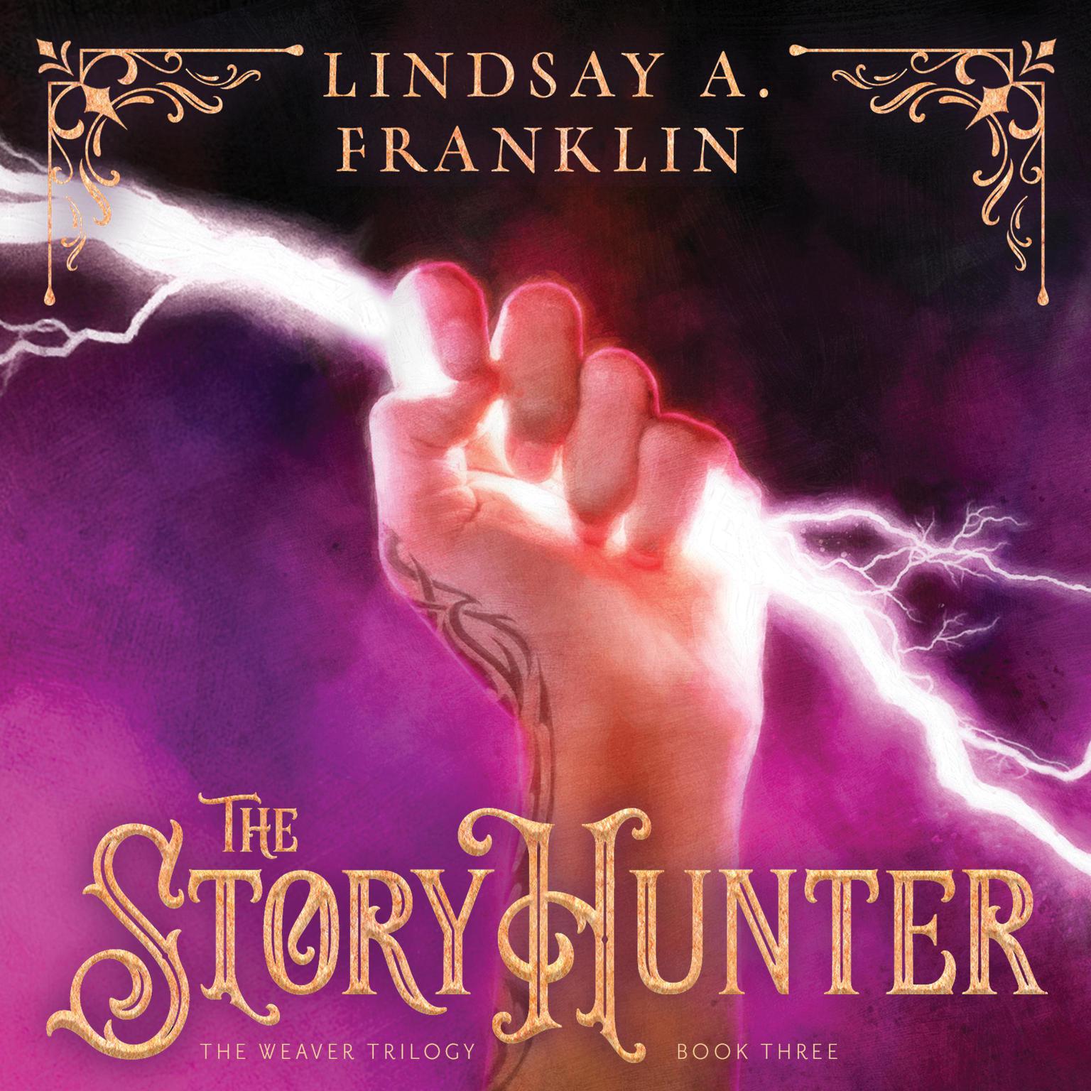 The Story Hunter Audiobook, by Lindsay A Franklin
