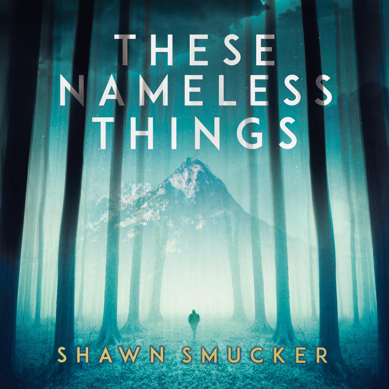 These Nameless Things Audiobook, by Shawn Smucker