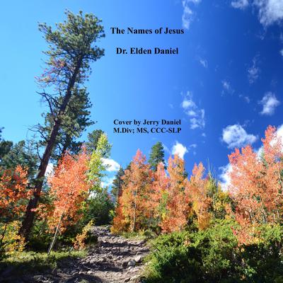 The Names of Jesus Audiobook, by Elden Daniel