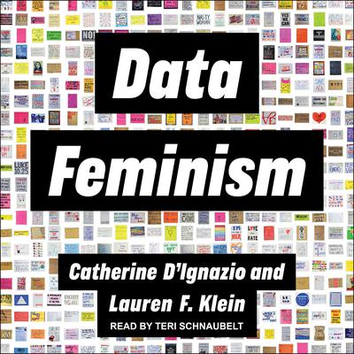 Data Feminism Audiobook, by Catherine D'Ignazio