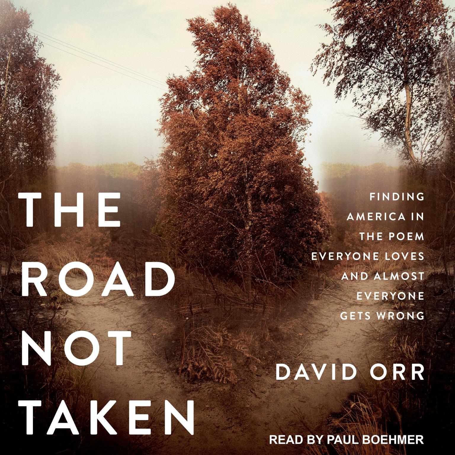 The Road Not Taken: Finding America in the Poem Everyone Loves and Almost Everyone Gets Wrong Audiobook, by David W. Orr