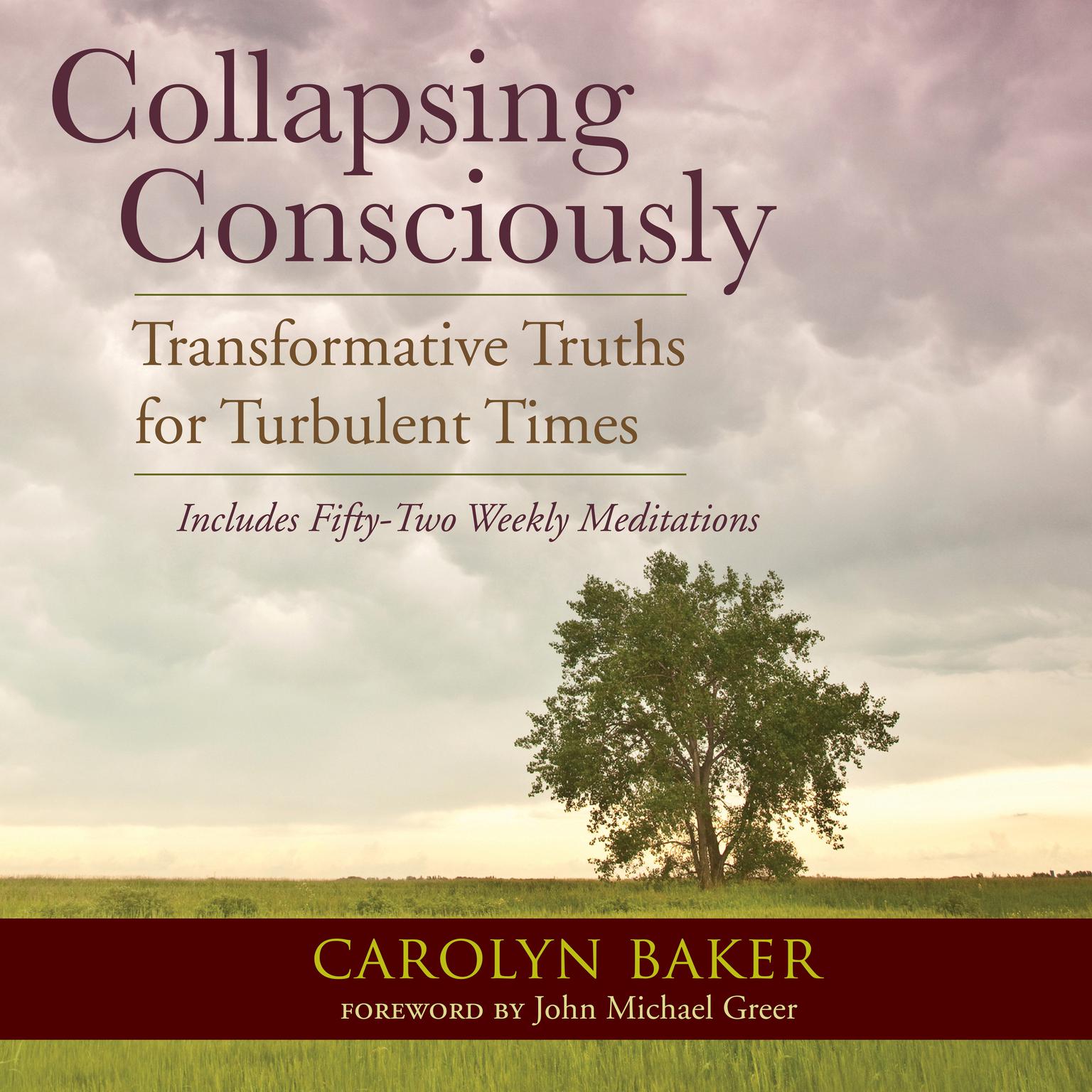 Collapsing Consciously: Transformative Truths for Turbulent Times Audiobook, by Carolyn Baker