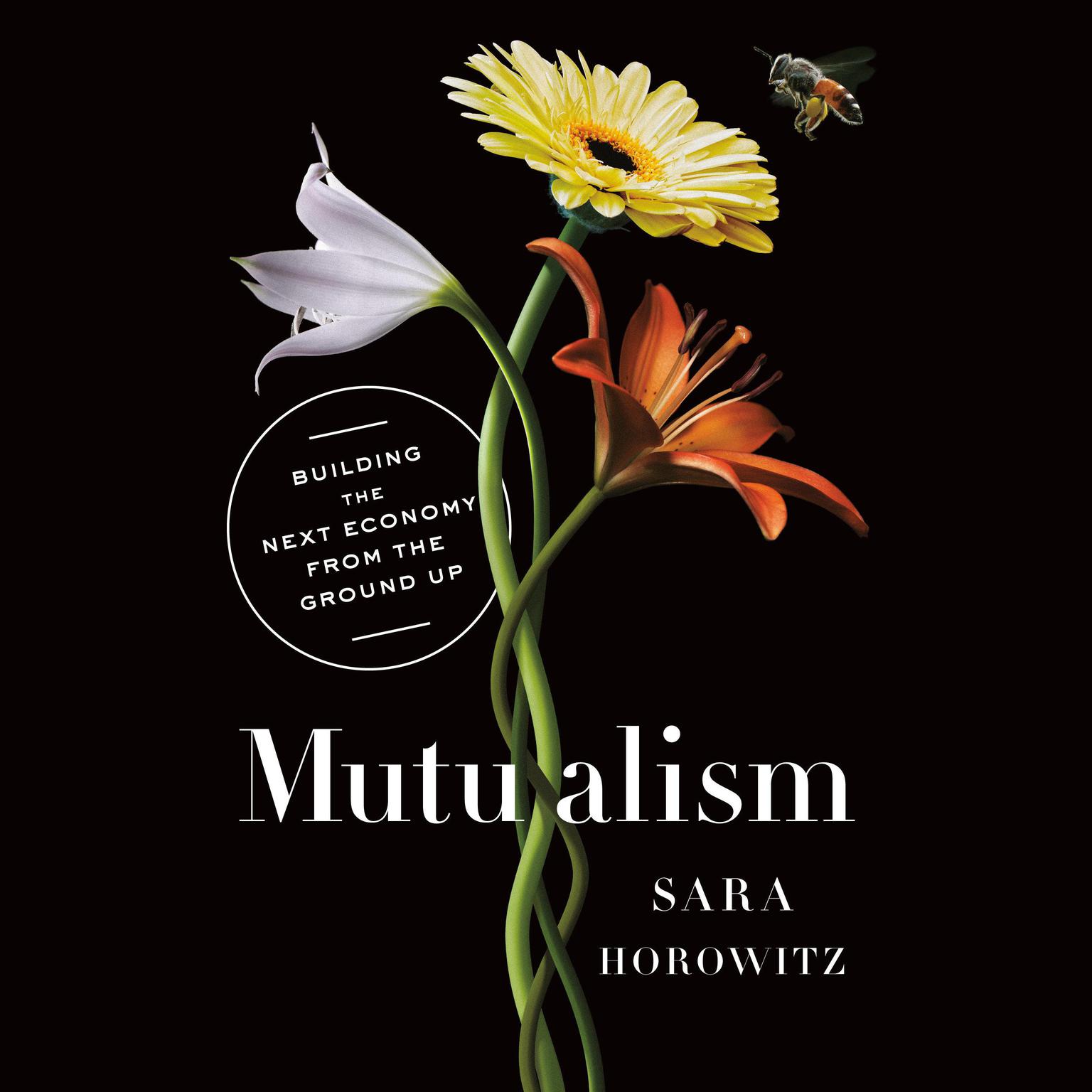 Mutualism: Building the Next Economy from the Ground Up Audiobook, by Sara Horowitz