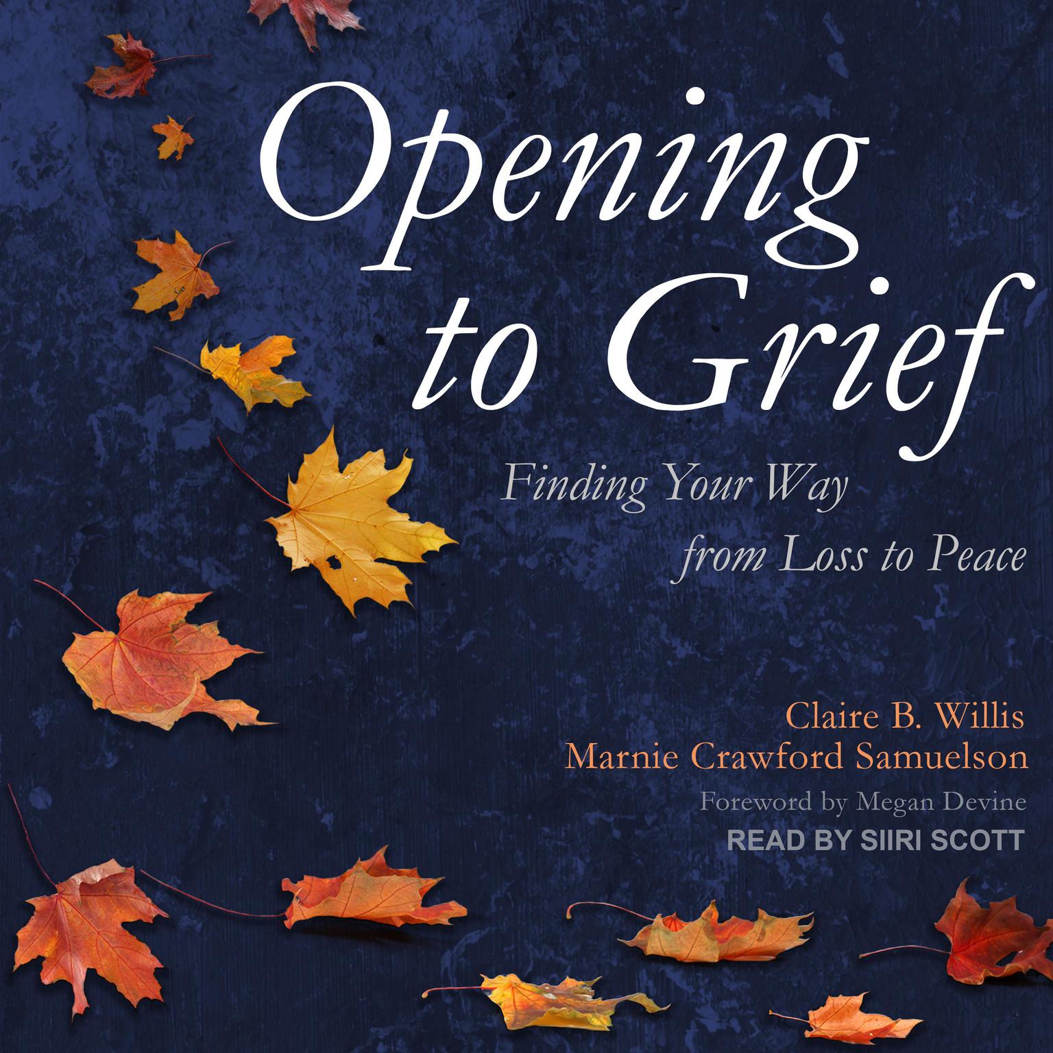 Opening to Grief: Finding Your Way from Loss to Peace Audiobook, by Claire B. Willis