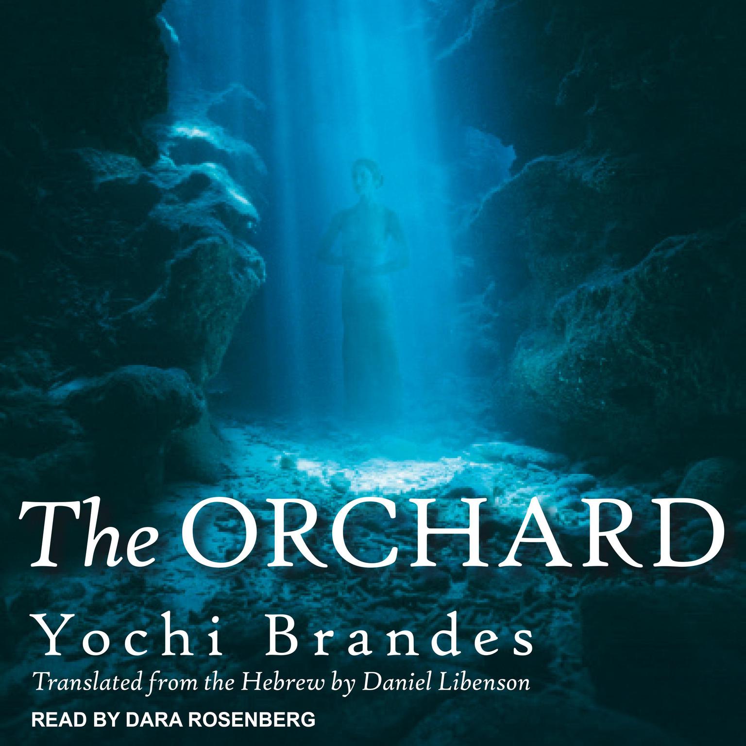 The Orchard Audiobook, by Yochi Brandes