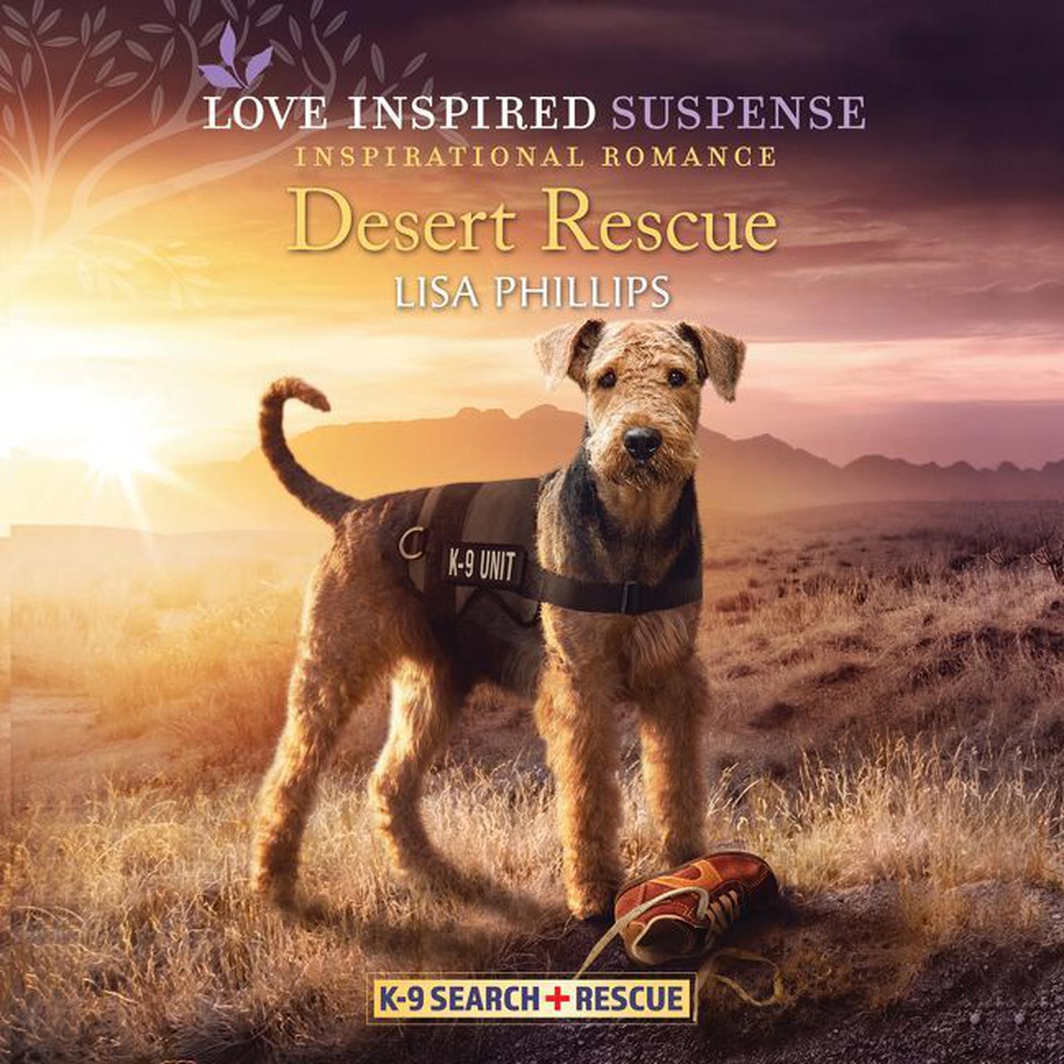 Desert Rescue Audiobook, by Lisa Phillips