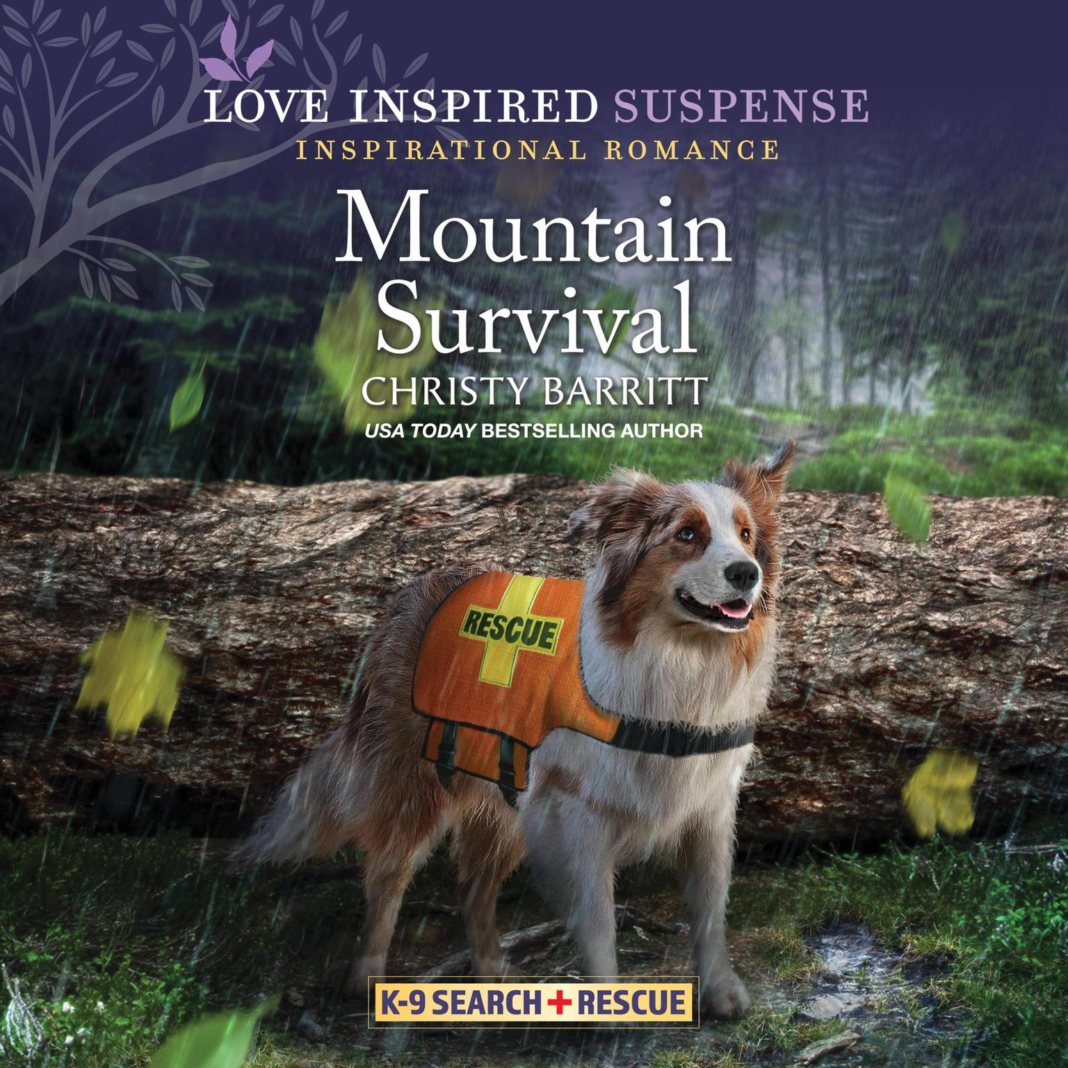 Mountain Survival Audiobook, by Christy Barritt