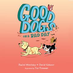 Good Dogs on a Bad Day Audiobook, by David Sidorov