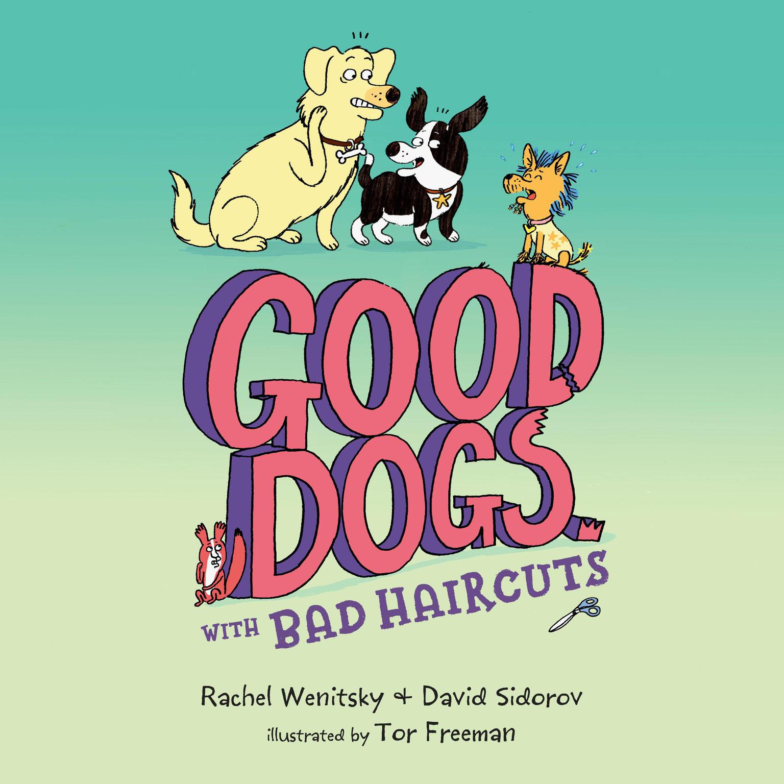 Good Dogs with Bad Haircuts Audiobook, by David Sidorov