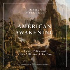 American Awakening: Identity Politics and Other Afflictions of Our Time Audiobook, by Joshua Mitchell