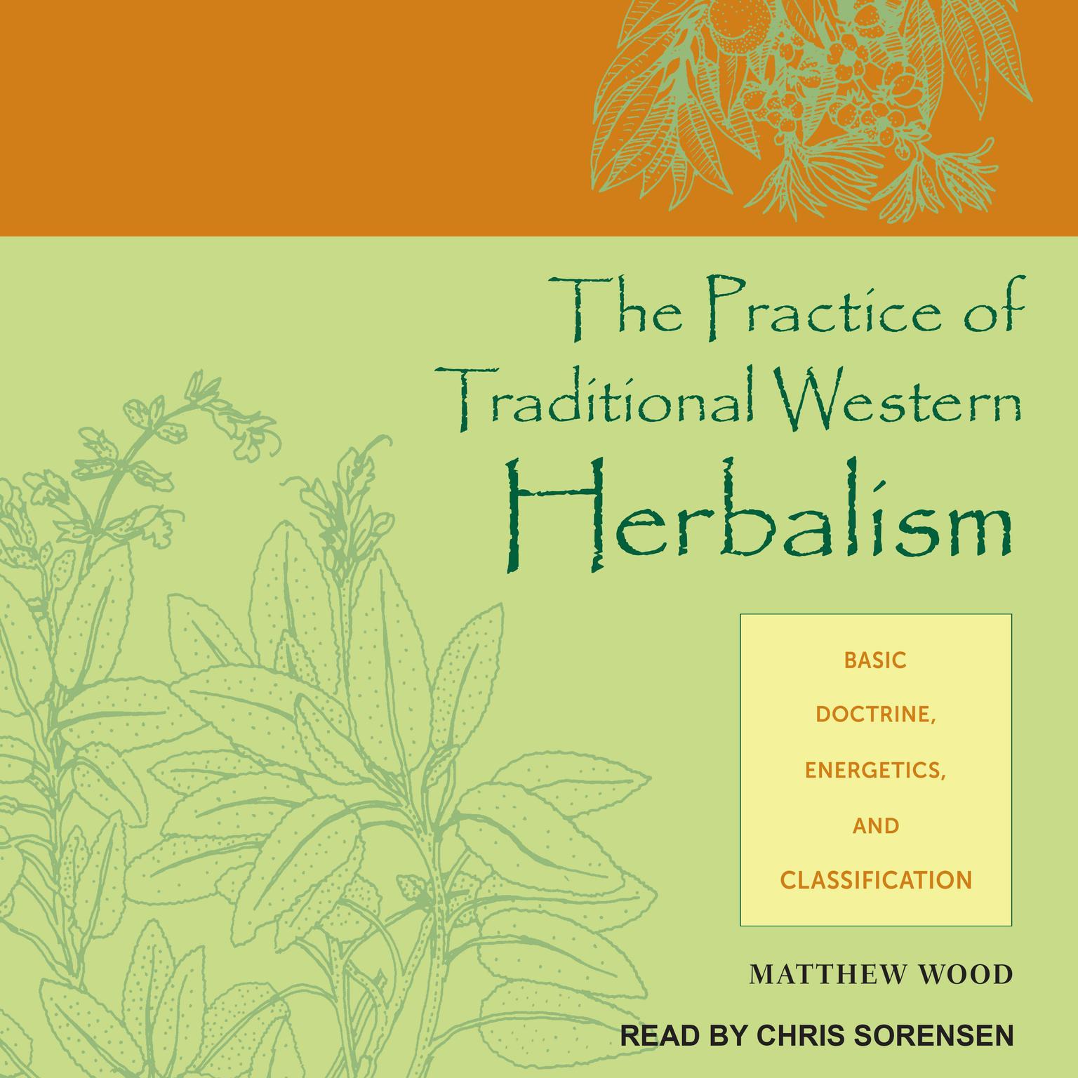 The Practice of Traditional Western Herbalism: Basic Doctrine, Energetics, and Classification Audiobook, by Matthew Wood