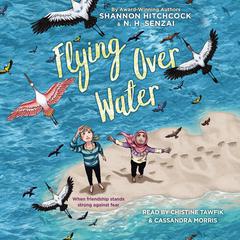 Flying Over Water Audiobook, by Shannon Hitchcock