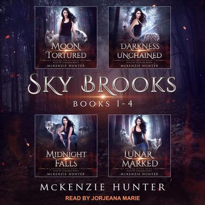 Sky Brooks: Books 1-4 Box Set Audiobook, by 