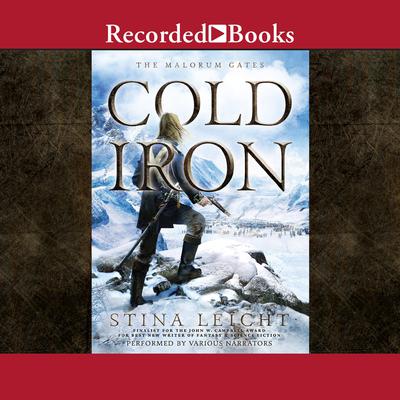 Cold Iron Audiobook, by Stina Leicht