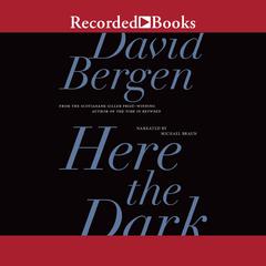 Here the Dark Audiobook, by David Bergen