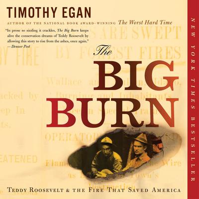 The Big Burn: Teddy Roosevelt and the Fire that Saved America Audiobook, by Timothy Egan
