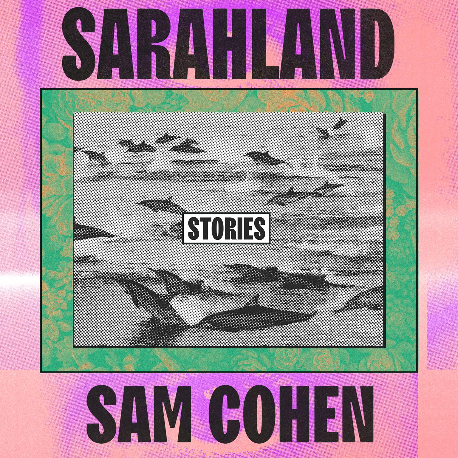 Sarahland Audiobook, by Sam Cohen